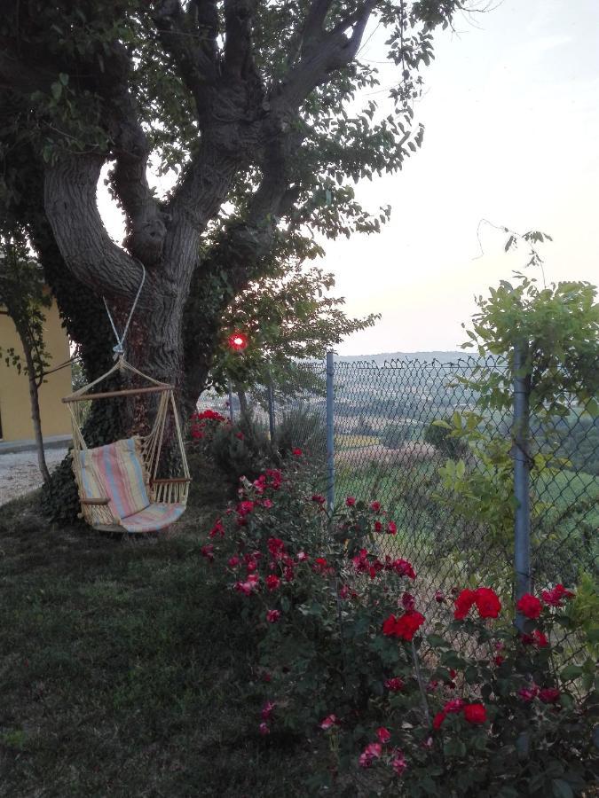 Casa Vacanze Angelica Ostra Vetere Екстер'єр фото