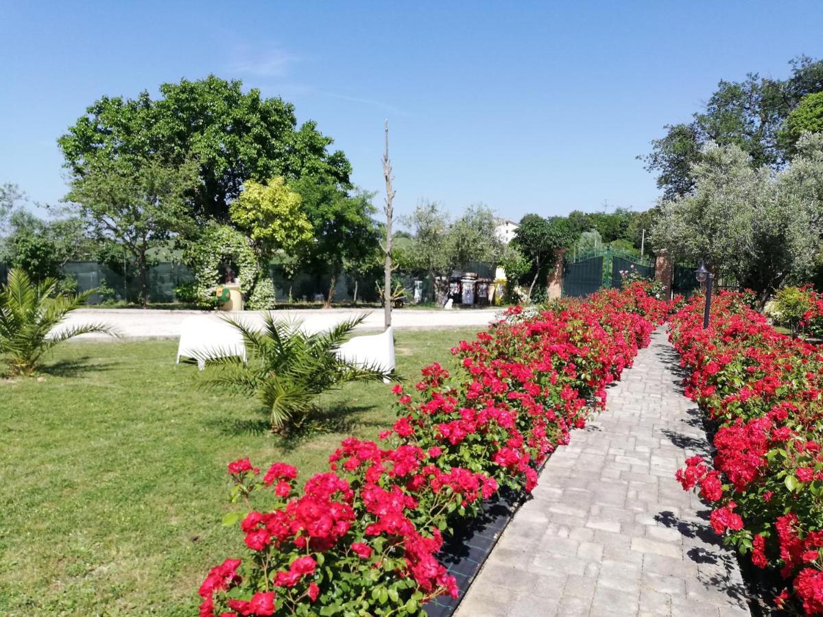 Casa Vacanze Angelica Ostra Vetere Екстер'єр фото