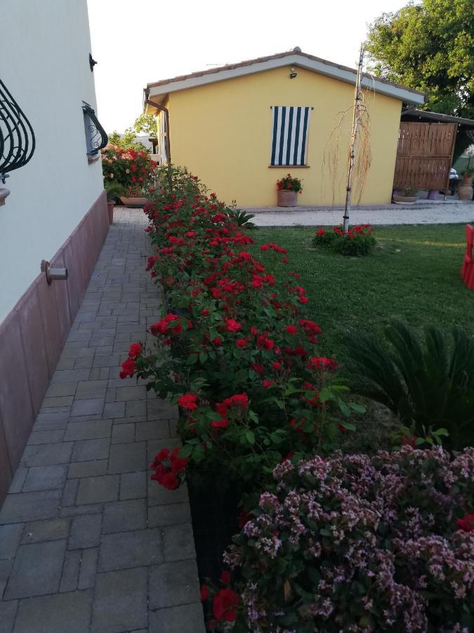 Casa Vacanze Angelica Ostra Vetere Екстер'єр фото