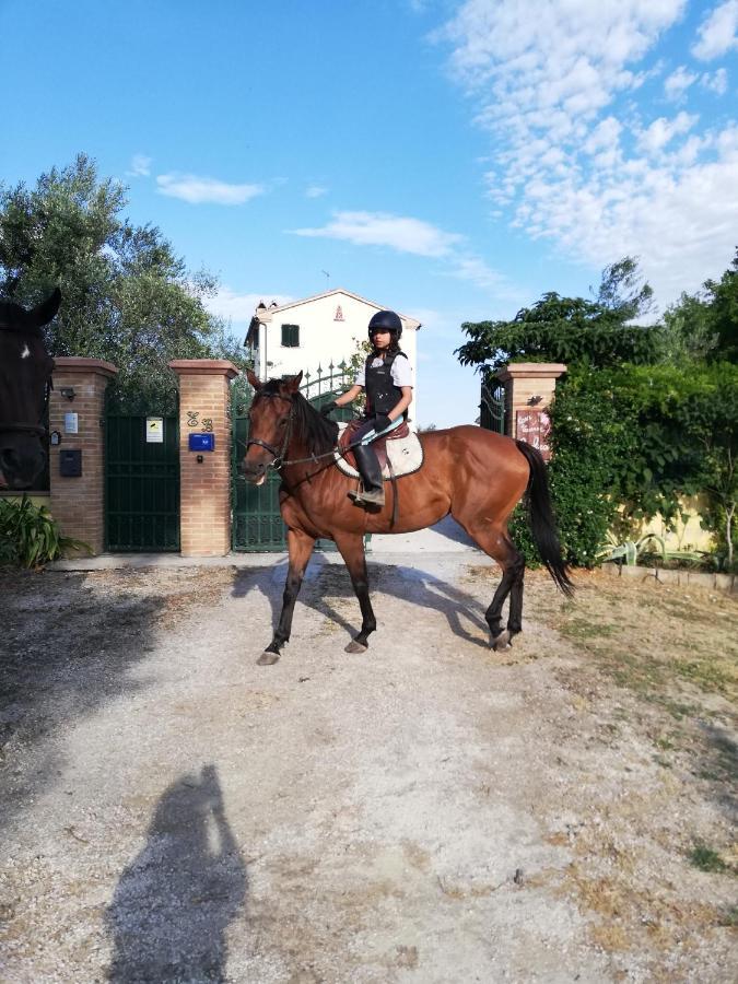 Casa Vacanze Angelica Ostra Vetere Екстер'єр фото